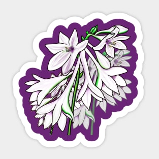 Hosta Bouquet Sticker